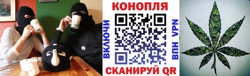 Шишки марихуана планчик Бугуруслан